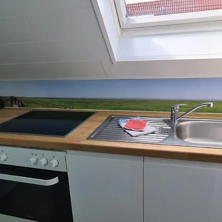 Meerleben * Norddeich (Norden)